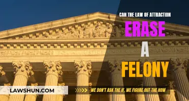 Attracting Positivity: Can Felonies Be Erased with Manifestation?