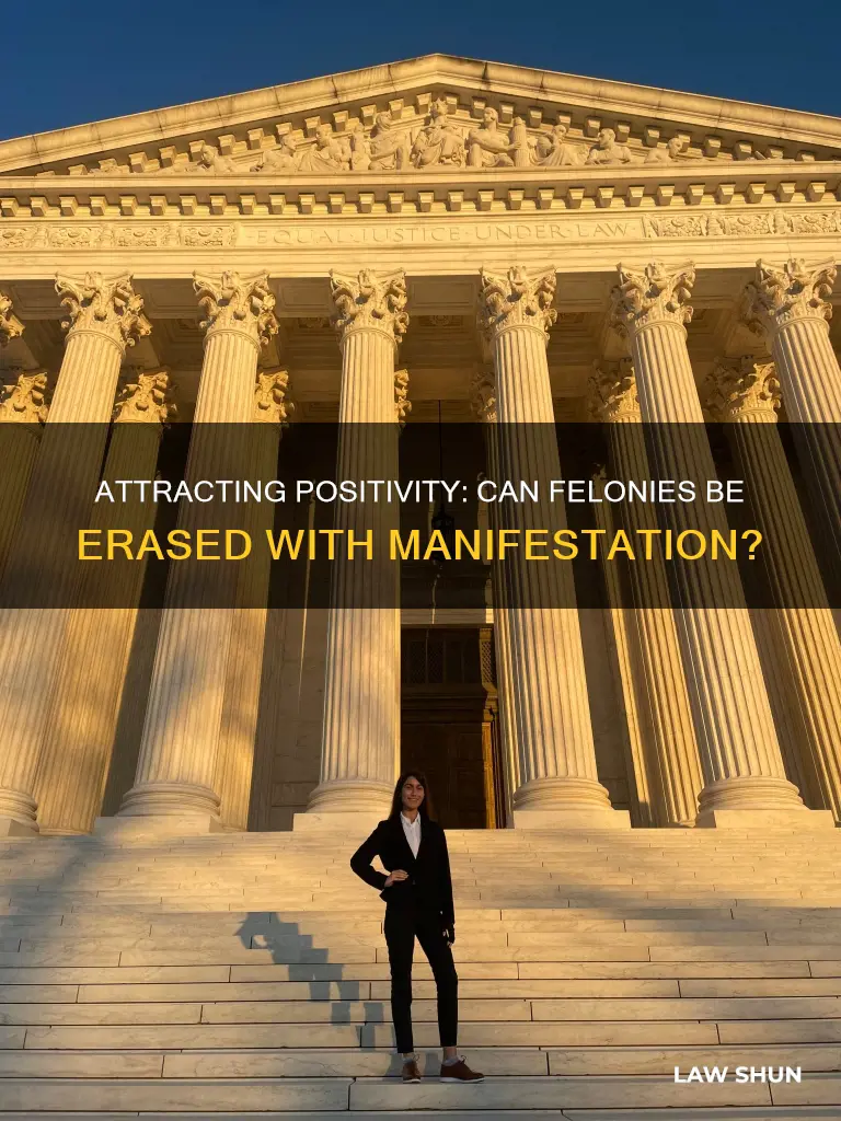 can the law of attraction erase a felony