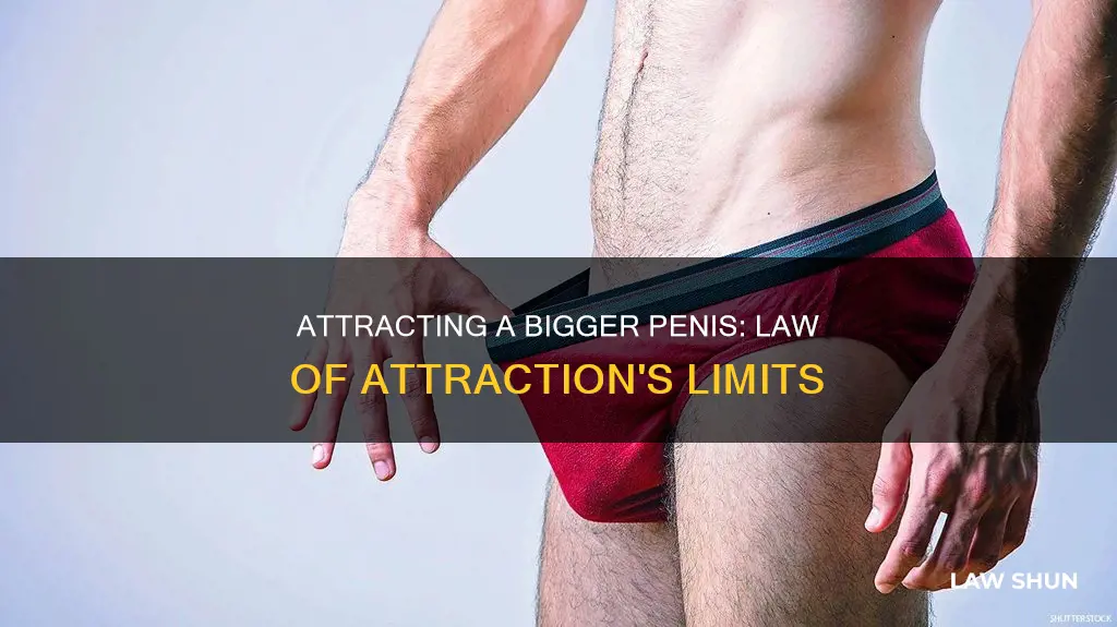 can the law of attraction increase penis size
