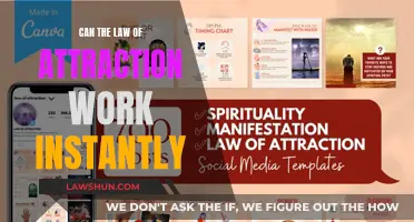 Manifesting Instantly: Is the Law of Attraction Really That Fast?