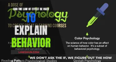 How the Law of Effect Explains Behavior