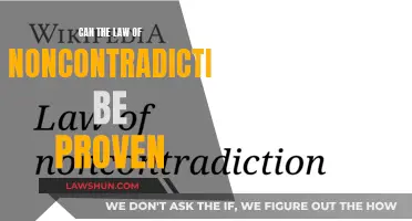 Proving the Law of Noncontradiction: Is It Possible?