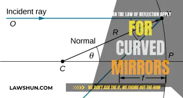 Reflection Law: Curved Mirrors and their Secrets