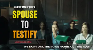The Law: Can It Force Spousal Testimony?