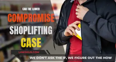 Shoplifting Cases: Can Lawyers Compromise?
