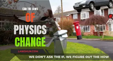 The Physics of Change: Laws in Flux?