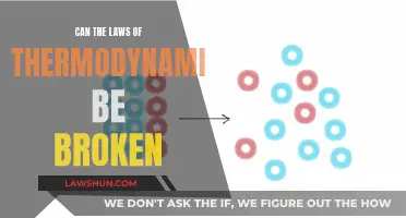 Thermodynamics Laws: Unbreakable or Flexible?