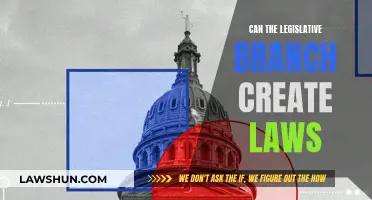 The Legislative Branch: Law-Making Power Explained