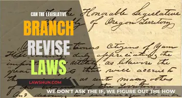 Legislative Branch: Law Revision Power Explained