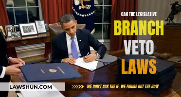 Legislative Branch: Veto Power and Lawmaking