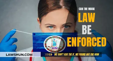Enforcing Mask Laws: Can It Be Done?