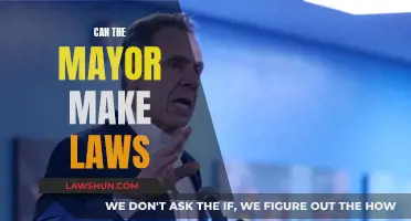 The Mayor's Power: Creating Laws?