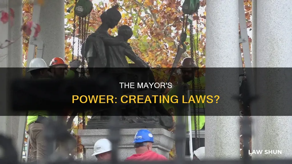 can the mayor make laws