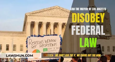 Los Angeles Mayor: Federal Law and City Leadership