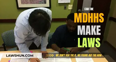 The Power of MDHHS: Law-Making Authority Examined