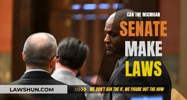 Michigan Senate: Lawmaking Powers and Limits