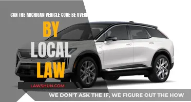 Michigan Vehicle Code: Local Law Override?