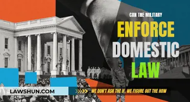 Military Intervention: Can They Enforce Domestic Law?