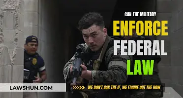 Military's Role in Federal Law Enforcement: Explained