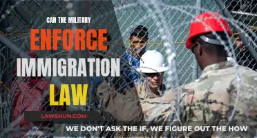 Military's Role in Immigration Law Enforcement: Legal Boundaries