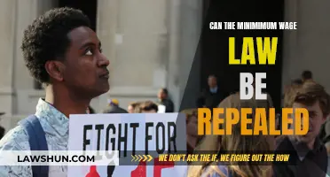 The Minimum Wage Law: Repeal or Reform?