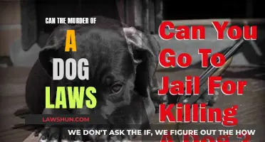 The Dog Murder Laws: Understanding Legal Consequences
