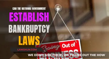 Bankruptcy Laws: National Government's Power and Limits
