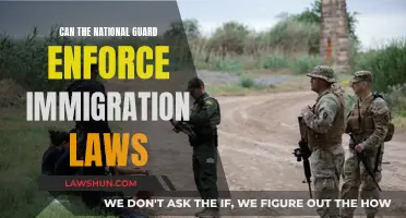 Who Can Enforce Immigration Laws? The National Guard's Role