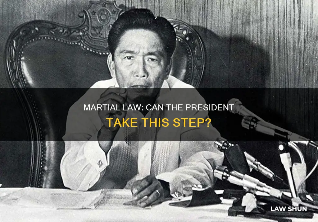 can the oresident declare martial law