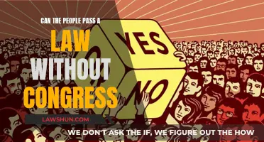 How Citizens Can Pass Laws Without Congress
