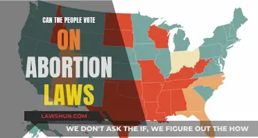 Voting on Abortion: A Direct Voice for the People