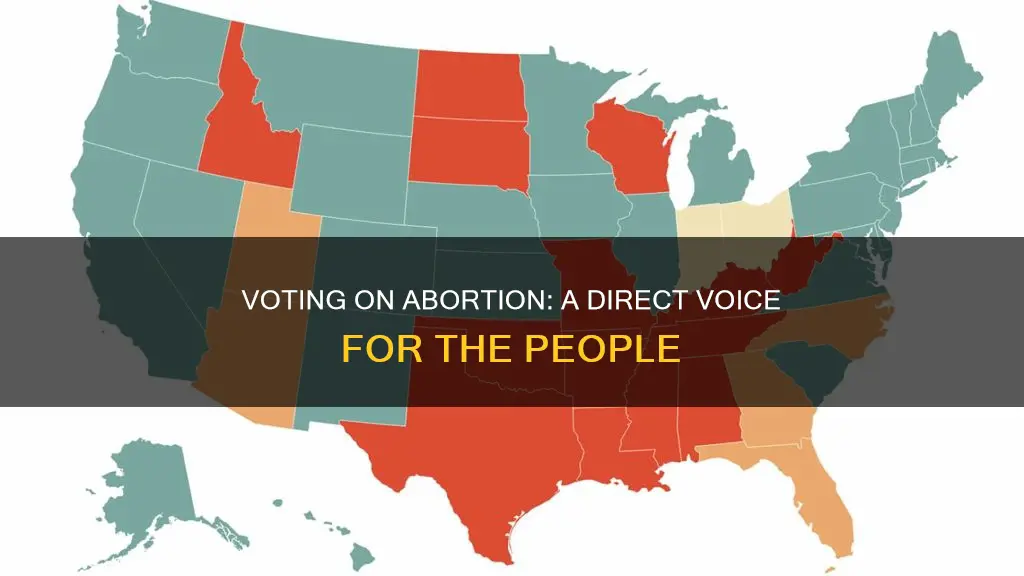 can the people vote on abortion laws