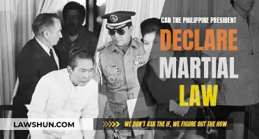 Martial Law in the Philippines: Presidential Powers Examined