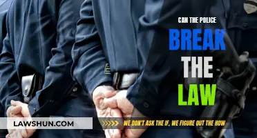 Police and the Law: Who Watches the Watchmen?