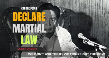 Martial Law: Can POTUS Take This Step?