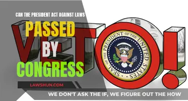 Executive Power: Can the President Break Laws?