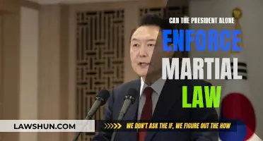 Martial Law: Presidential Power or Overreach?