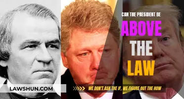 Executive Power: Can the President Be Above the Law?