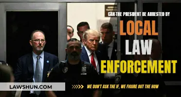 Can a President Be Arrested? Understanding Executive Power