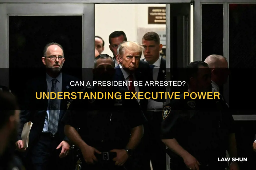can the president be arrested by local law enforcement