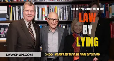 Executive Power: Can the President Lie Lawfully?