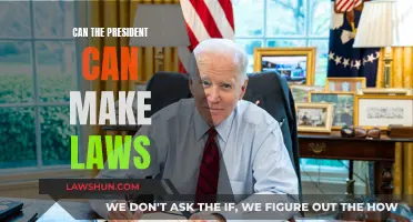 The President's Lawmaking Power: Can They Make Laws?