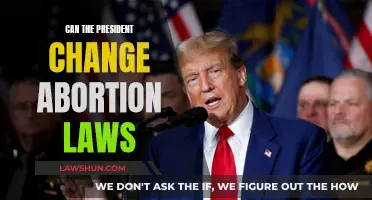Executive Abortion Powers: Can the President Change Laws?