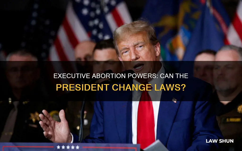 can the president change abortion laws