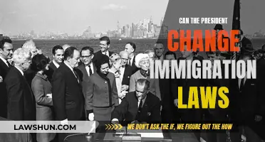 Executive Power: Immigration Laws and Presidential Influence