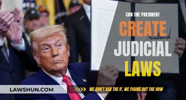 The President's Limits: Creating Judicial Laws