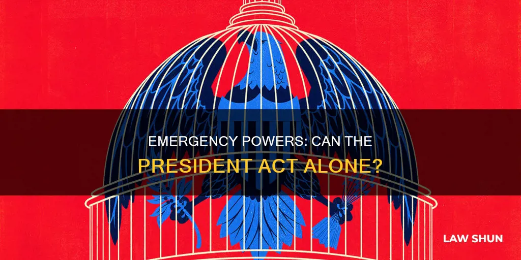 can the president declare an emergency law without congress