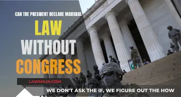 Martial Law: Can the President Act Alone?