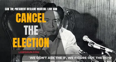 Martial Law: Can US Elections Be Cancelled?