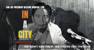 Martial Law: Presidential Power Play?
